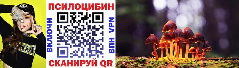 Псилоцибиновые грибы прущие грибы  цены наркотик  гидра сайт  Ковылкино 