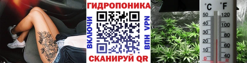 закладка  Ковылкино  Марихуана план 
